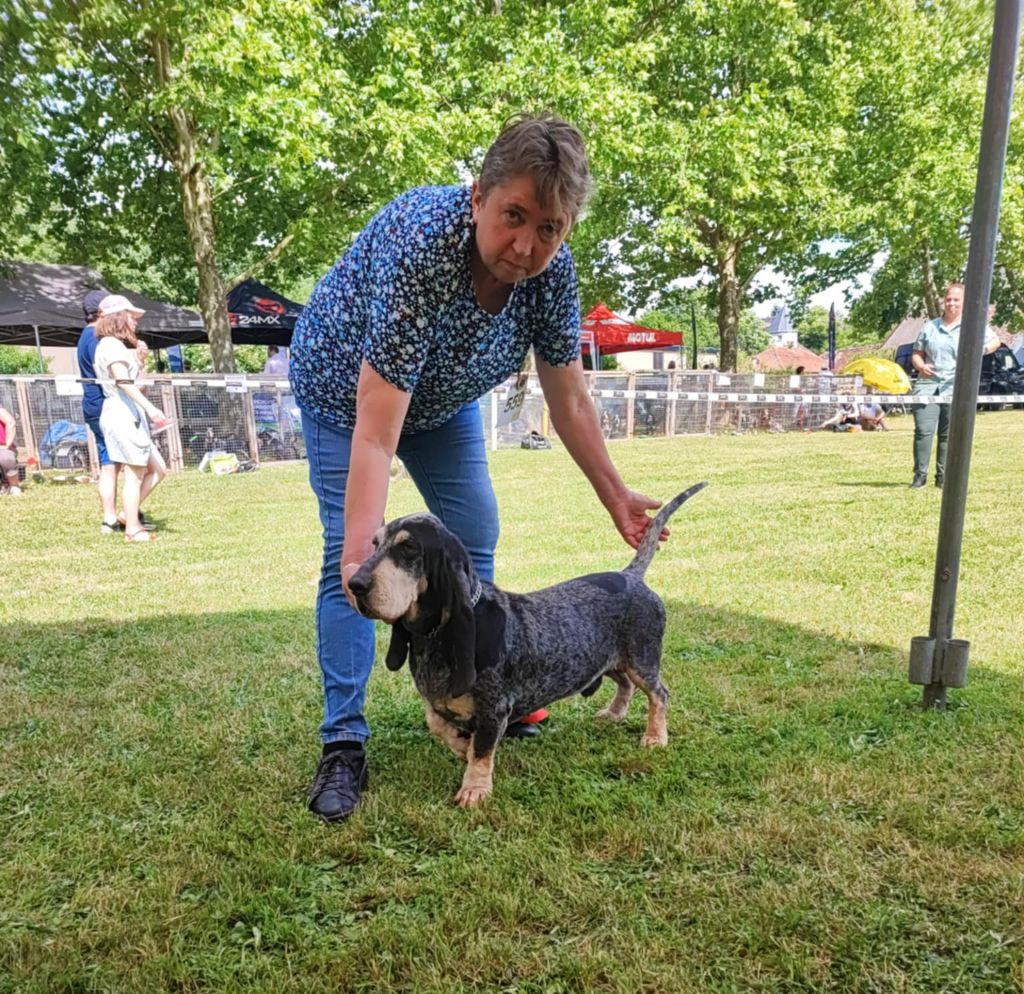 CH. Petrus des vallées longeronnaises - 1 Excellent classe Champion