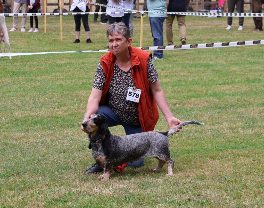 Turkoise des vallées longeronnaises - 2ème excellent