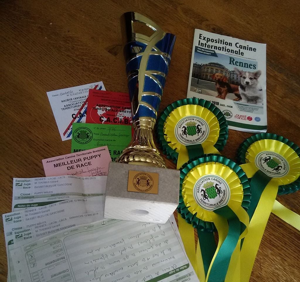 Odeon des vallées longeronnaises - Très prometteur BOB Puppy