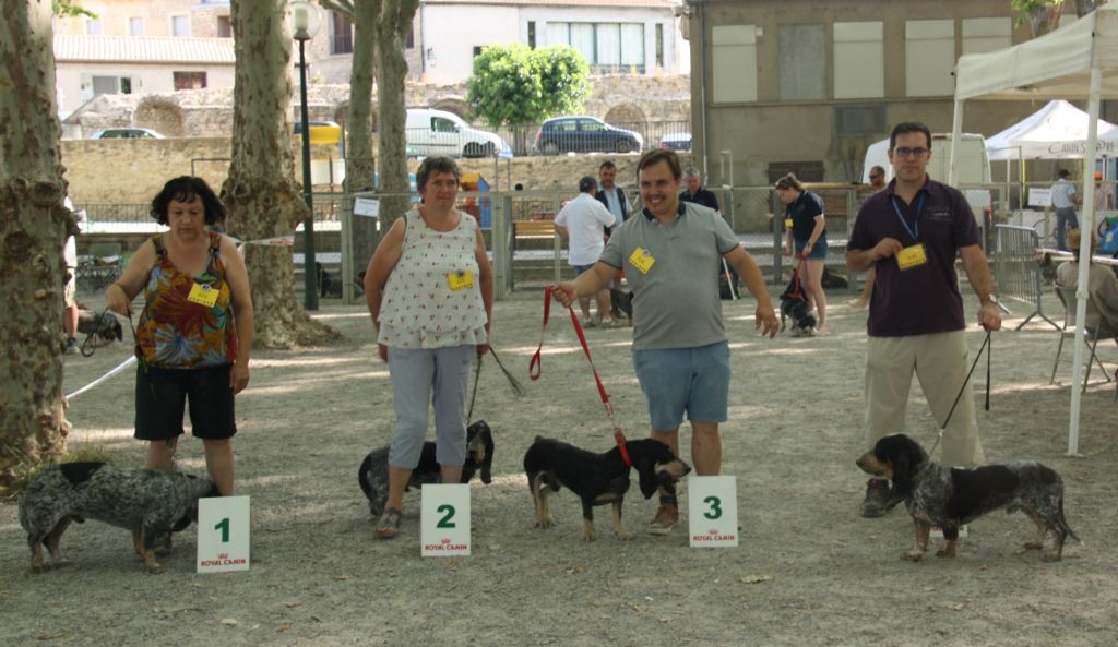 Odeon des vallées longeronnaises - 4ème excellent