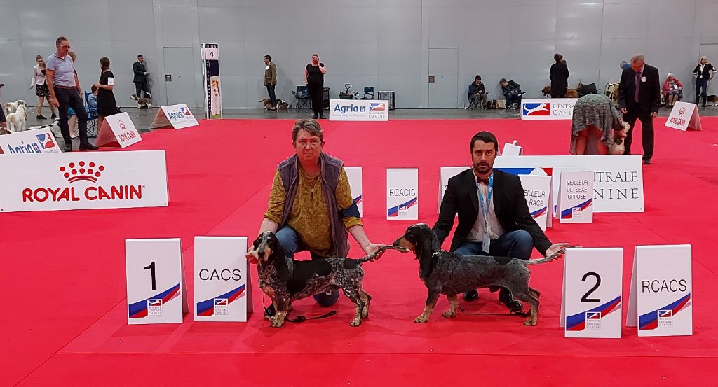 CH. Petrus des vallées longeronnaises - RCACS RCACIB