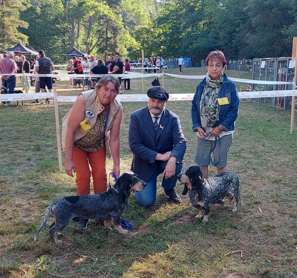 CH. Petrus des vallées longeronnaises - 1er excellent RCACS CO male