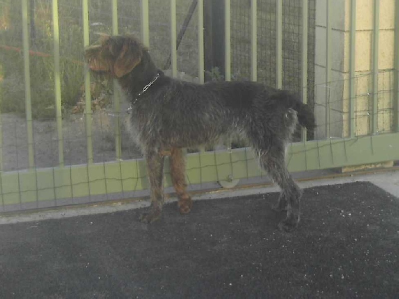 Atlas des vallées longeronnaises - 1er très bon