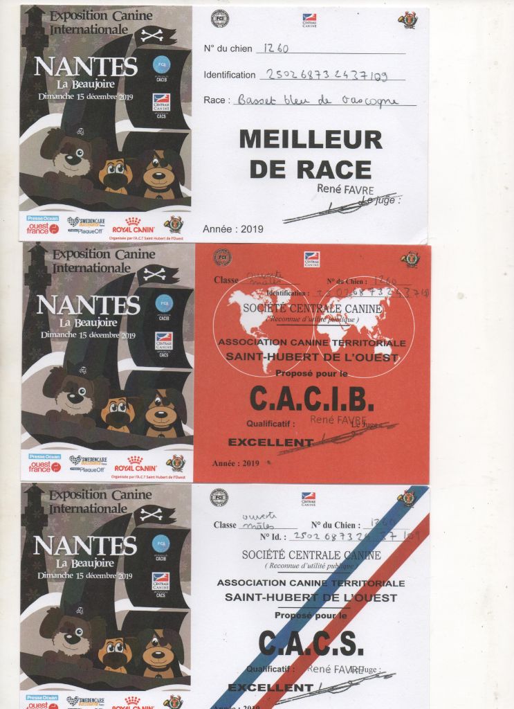 Odeon des vallées longeronnaises - CACS CACIB BOB