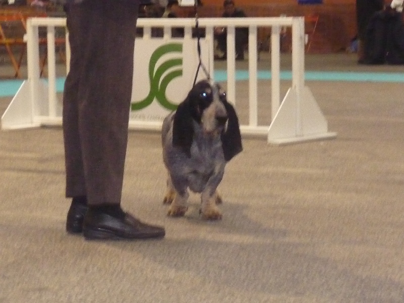 Atoll des vallées longeronnaises - CACS RCACIB