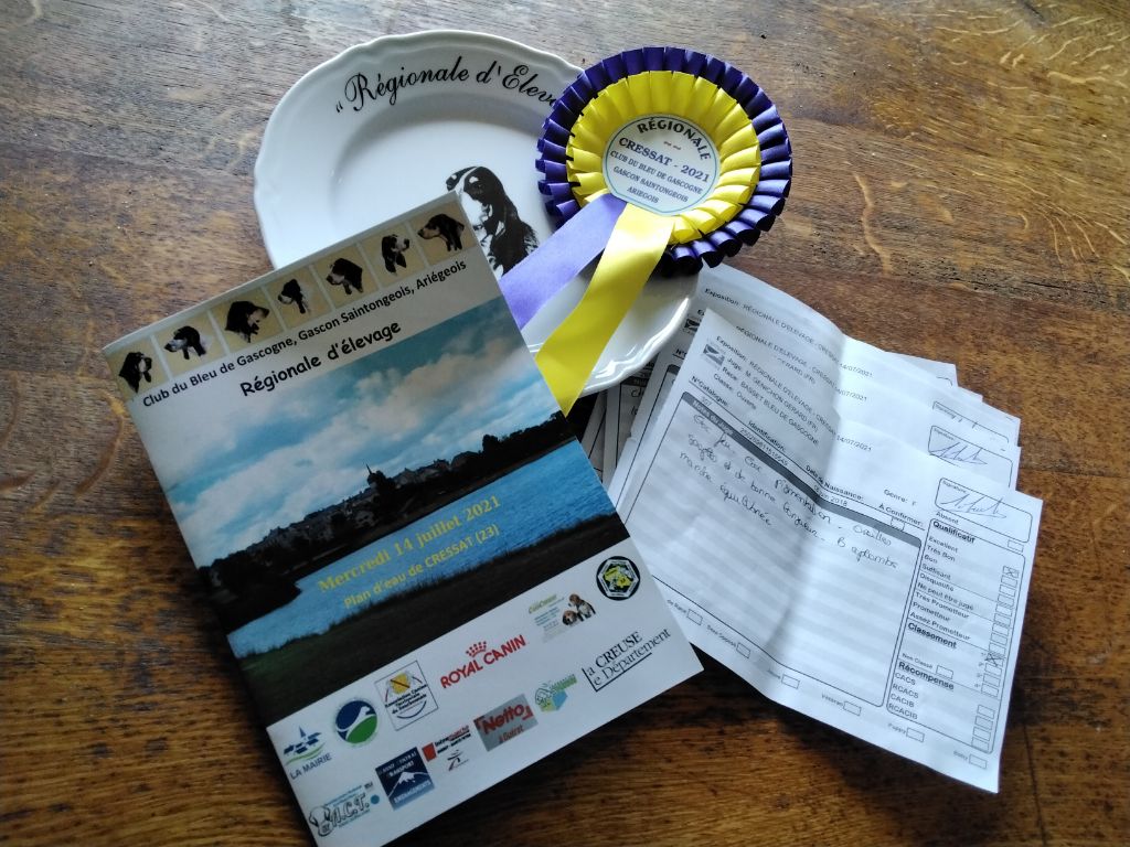 CH. Petrus des vallées longeronnaises - excellent CO Male