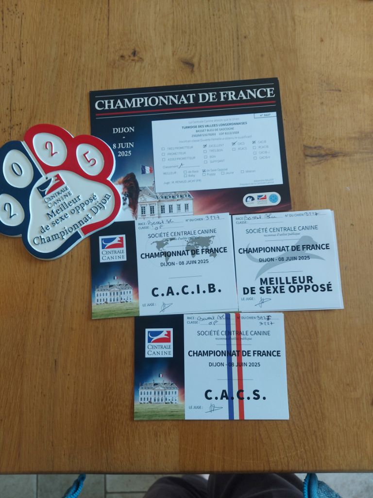 Turkoise des vallées longeronnaises - CACS CACIB BOS