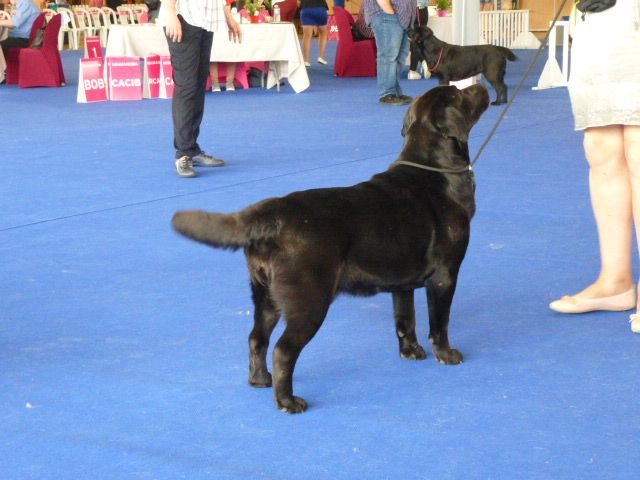 Publication : du puits de chanteins Auteur : Pré de l'egvonne
