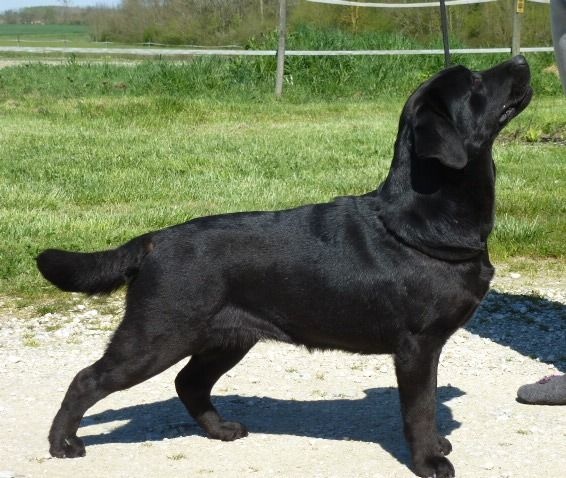 Publication : du puits de chanteins Auteur : Pré de l'egvonne