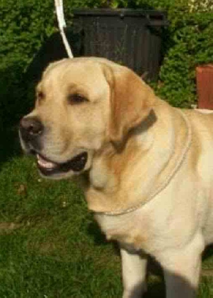 Publication : du pré de l'égvonne Auteur : Mr Price