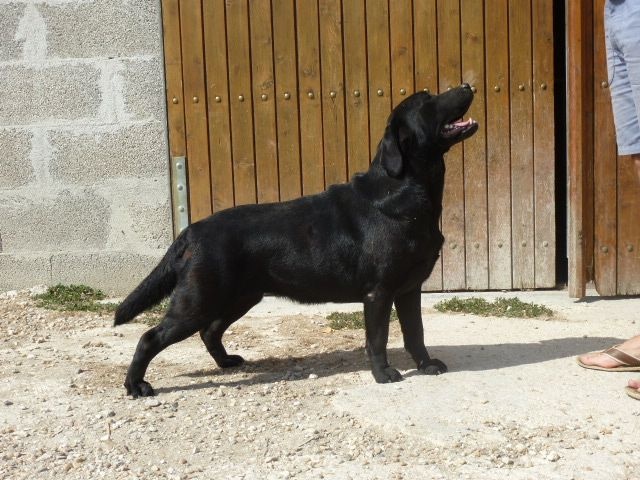 Publication : du puits de chanteins Auteur : Pré de l'egvonne