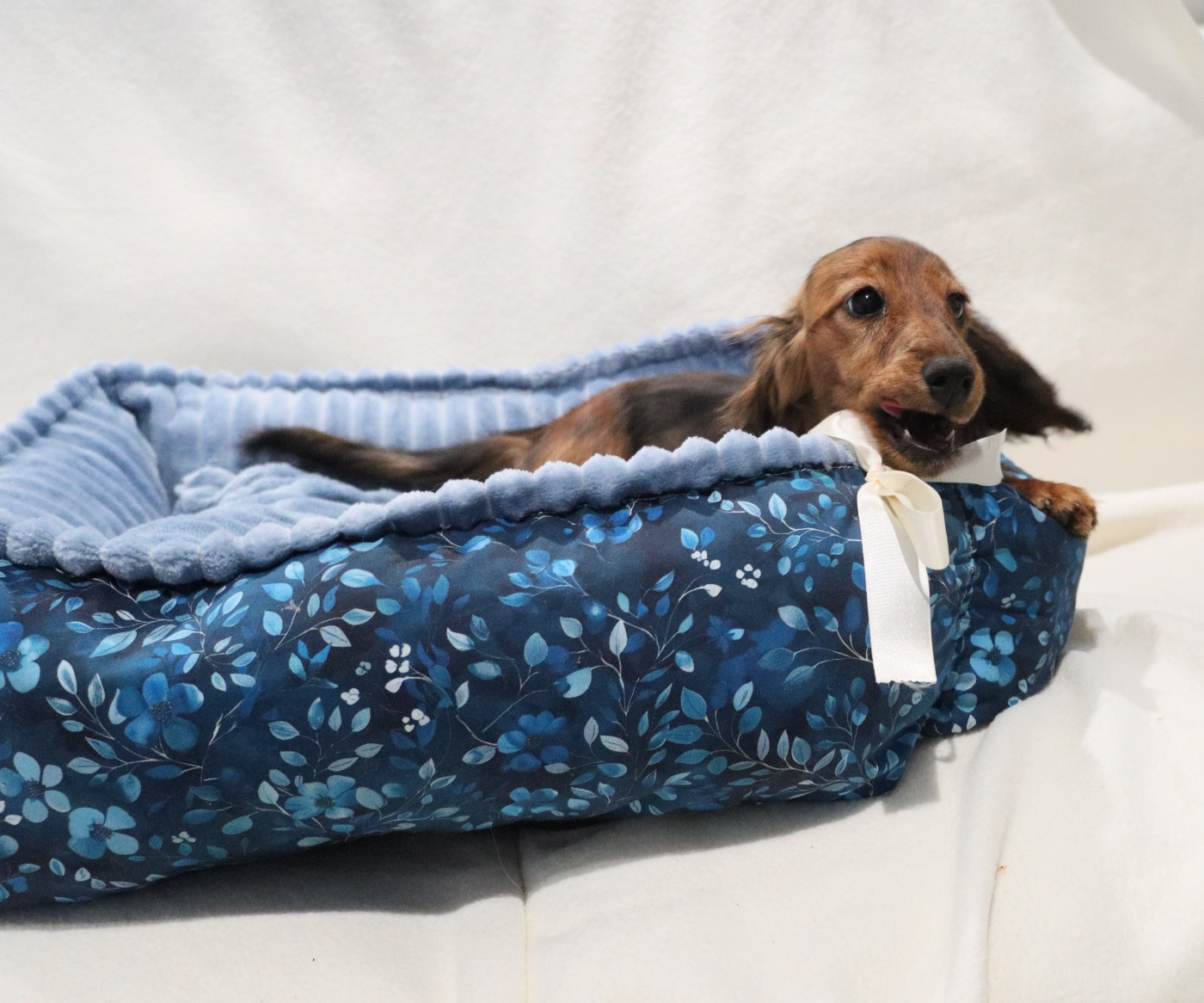 Publication : de la grande equinoxe