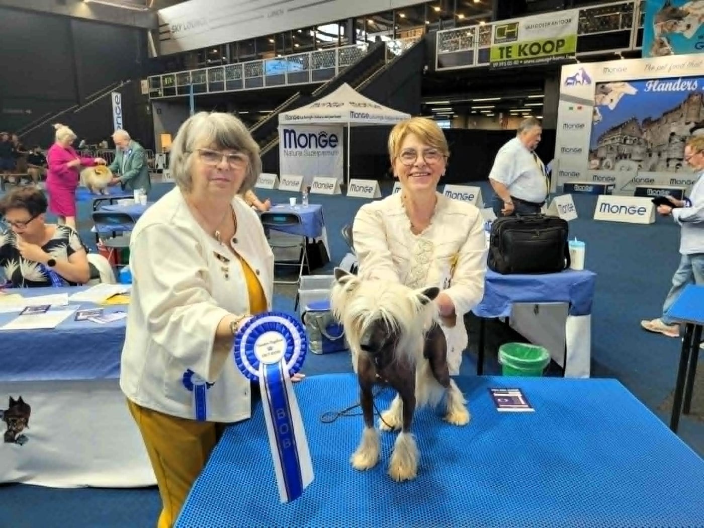 CH. Yakub (kuba) - Pinkmaiden (Sans Affixe) - 1er Exc. - CACIB - Meilleur de Race