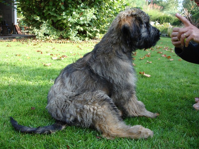 Publication : de Norimatys