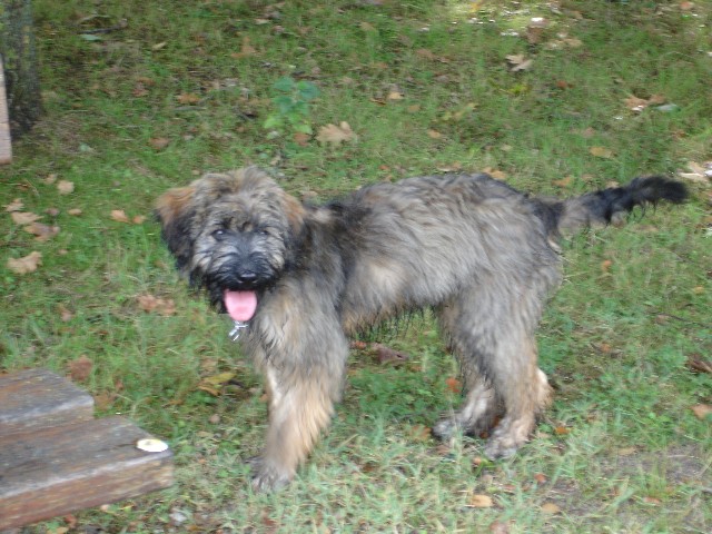 Publication : de Norimatys