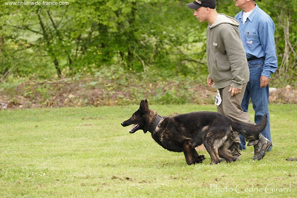Pouja de L'Ancien Bungalow -