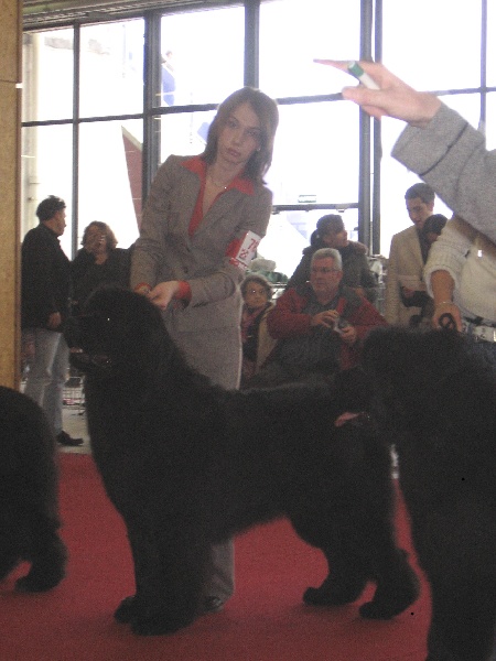 CH. Varog de la pommeraie du jet - 4ème exc