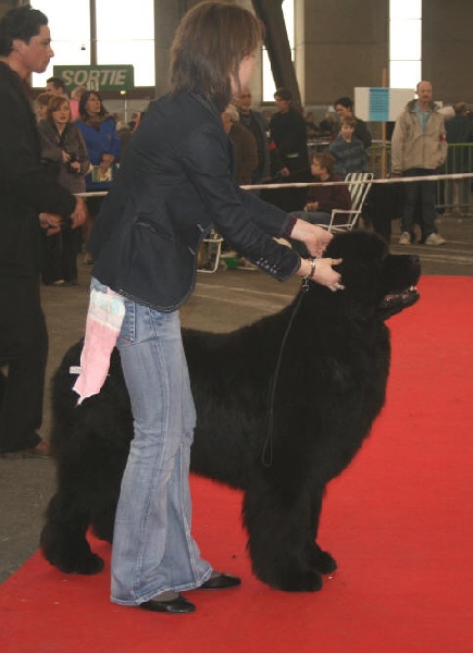 CH. Varog de la pommeraie du jet - 2ème exc RCACS RCACIB