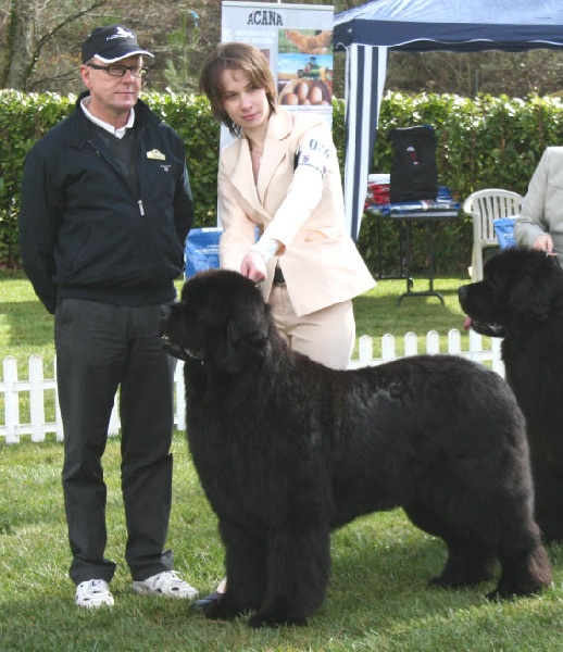 CH. Varog de la pommeraie du jet - 1er exc CAC BOB