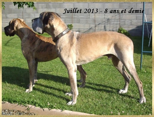 Publication : Des grandes terres d'aaron