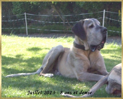 Publication : Des grandes terres d'aaron