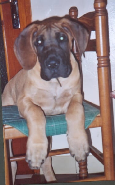 Publication : Des grandes terres d'aaron