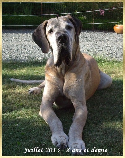 Publication : Des grandes terres d'aaron