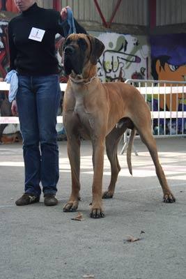 Publication : Des grandes terres d'aaron