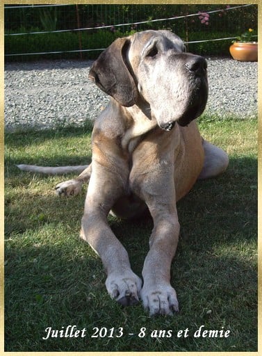 Publication : Des grandes terres d'aaron