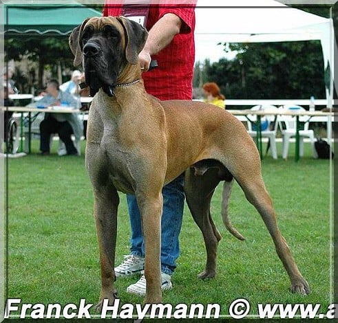 Publication : Des grandes terres d'aaron