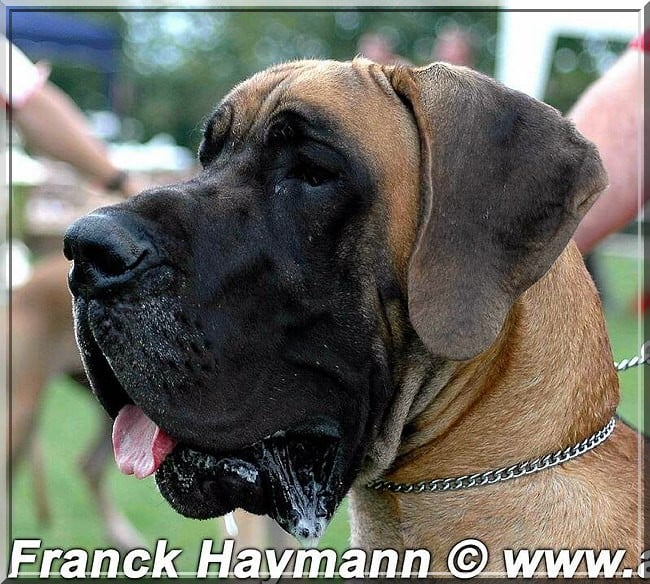 Publication : Des grandes terres d'aaron