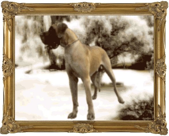 Publication : Des grandes terres d'aaron