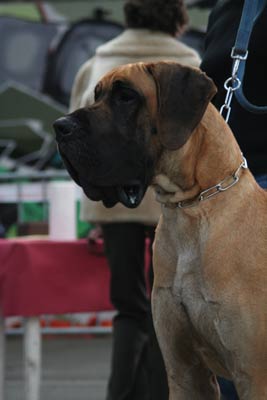 Publication : Des grandes terres d'aaron