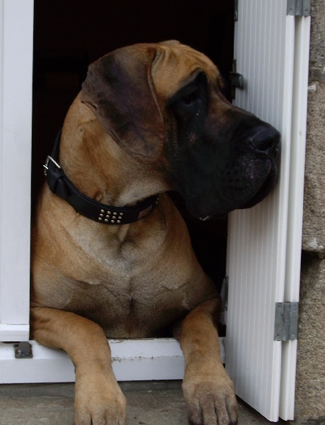 Publication : Des grandes terres d'aaron