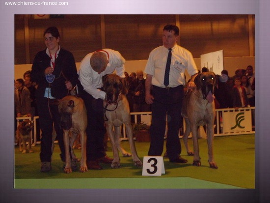 CH. Aaron le grand Des Terres De La Rairie - 3ème place