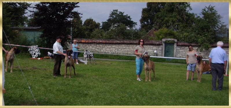 CH. Aaron le grand Des Terres De La Rairie - 2ème Exc - RCACS