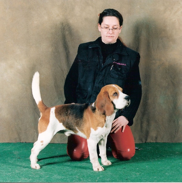 Publication : du Museau D'Or