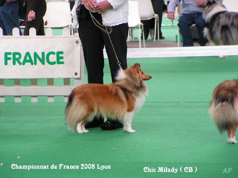 Chic milady dit 'cb' De la vallée des noyeres - Excellent - Classe jeune