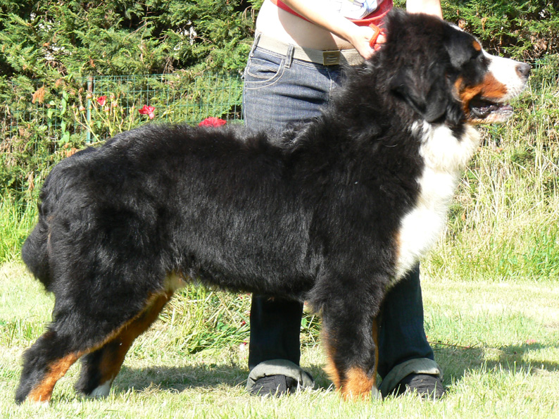 Publication : des Légendes Féeriques Auteur : des Légendes Féeriques