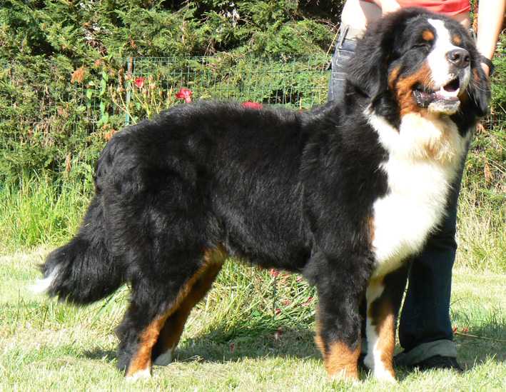 Publication : des Légendes Féeriques Auteur : des Légendes Féeriques