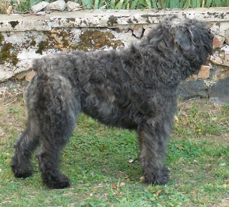 Publication : de l'étang de Villedieu