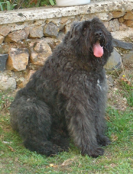 Publication : de l'étang de Villedieu