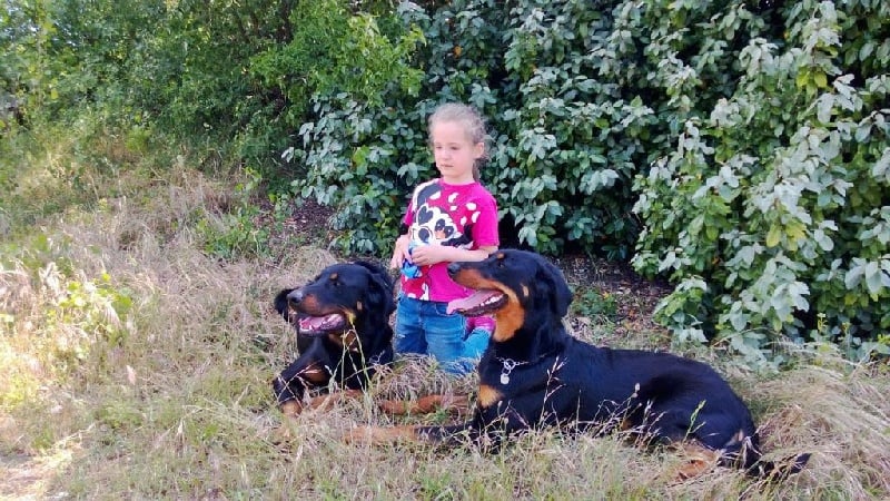 Publication : Vaudagne Auteur : G.C