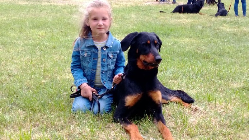 Publication : Vaudagne Auteur : G.C