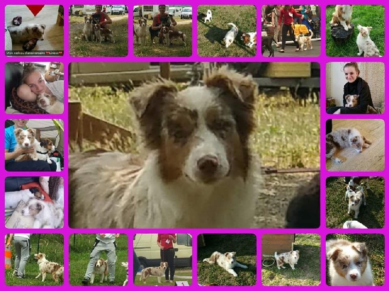 Publication : De La P'tite Malice