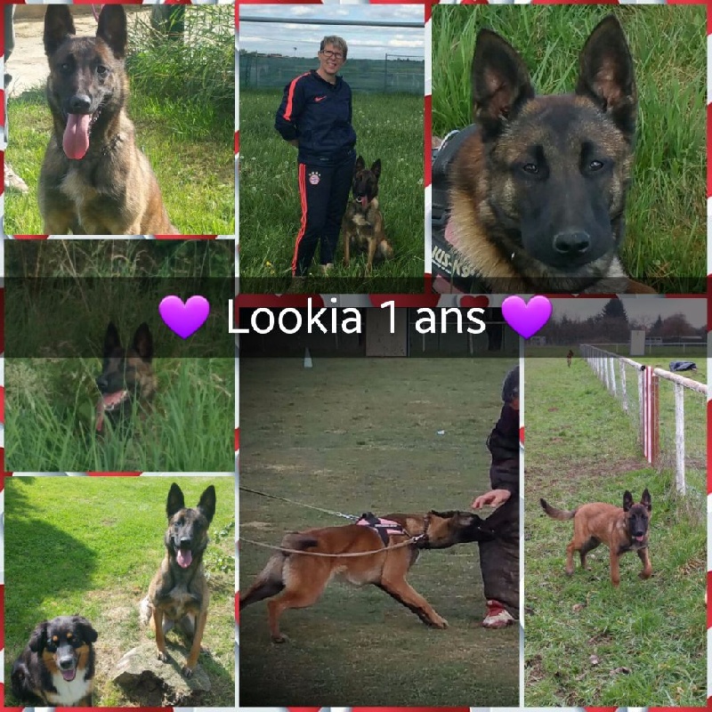 Publication : De La Tribu Des Plaines