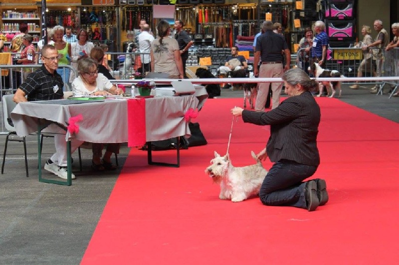 Publication : (Sans Affixe)