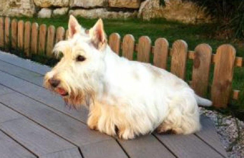 Publication : (Sans Affixe)