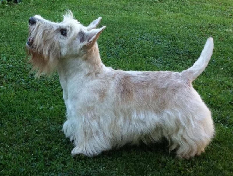 Publication : (Sans Affixe)