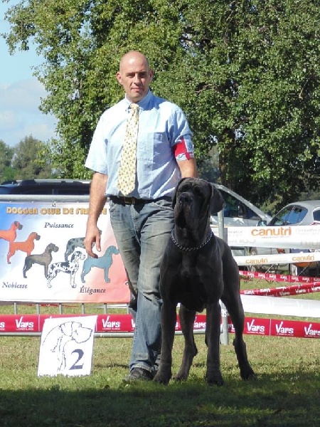 J ch el jethro de casalbero - 2e Très Bon (Classe Jeune)